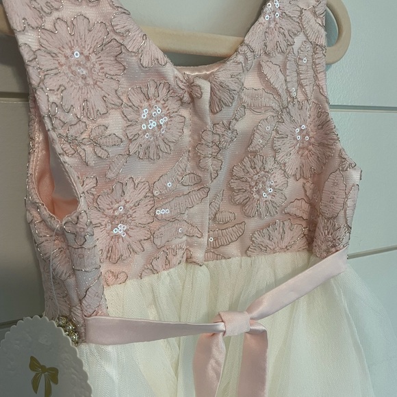 American Princess Dress Pink/White/Gold Accents - Picture 4 of 5